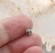 Бусина серебряная рондель клевер 5,2х3,9 мм